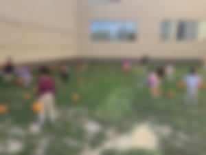 prek pumpkin patch